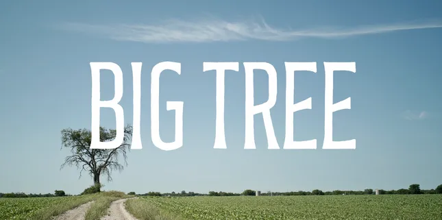 Big Tree