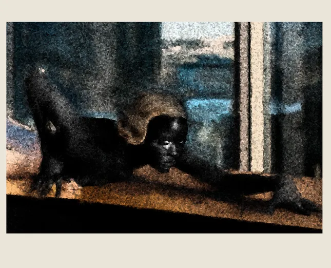 Project image