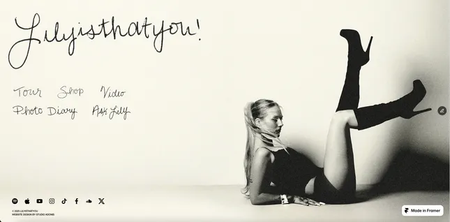 Lilyisthatyou - Web & Shopify Dev