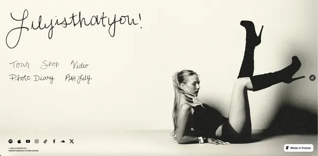 Lilyisthatyou - Web & Shopify Dev
