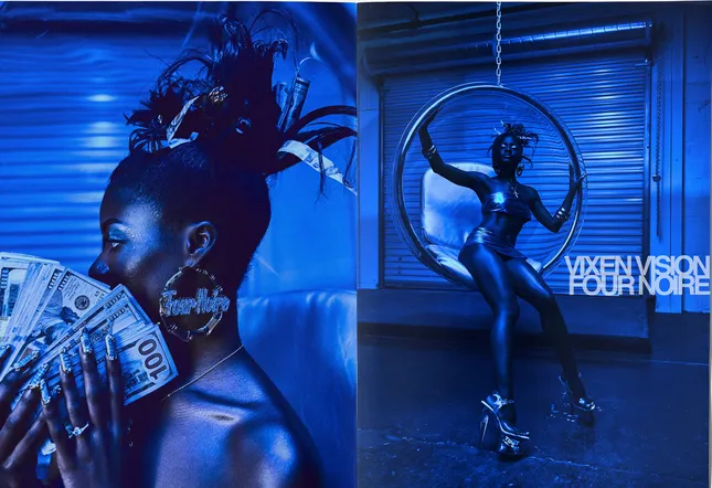 Vixen Vision