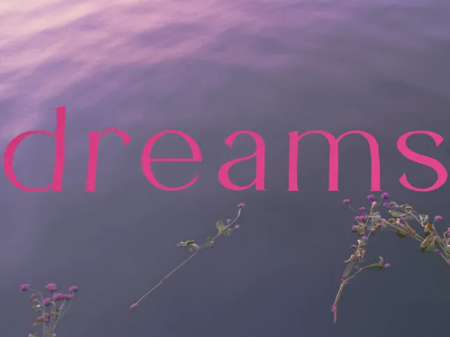 dreams - music video