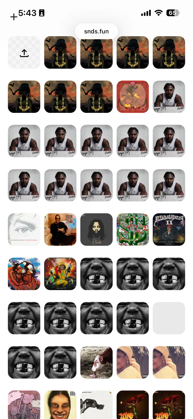 Project image