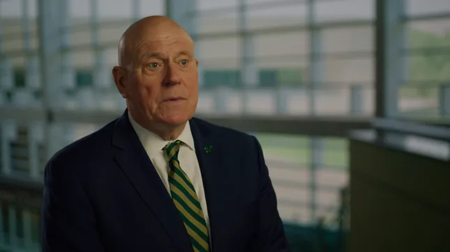 Business Impact - USF Bellini