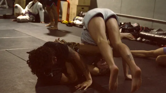 Jiu Jitsu & MMA South Tampa - Grand Opening