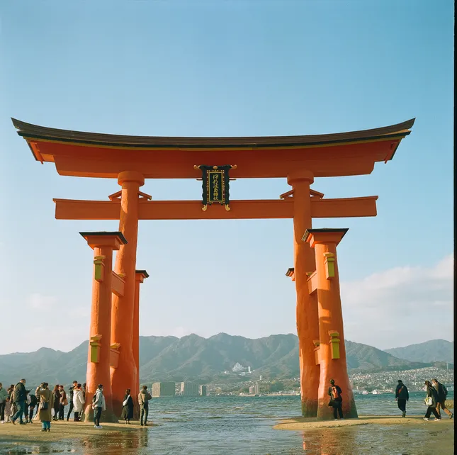 Project image