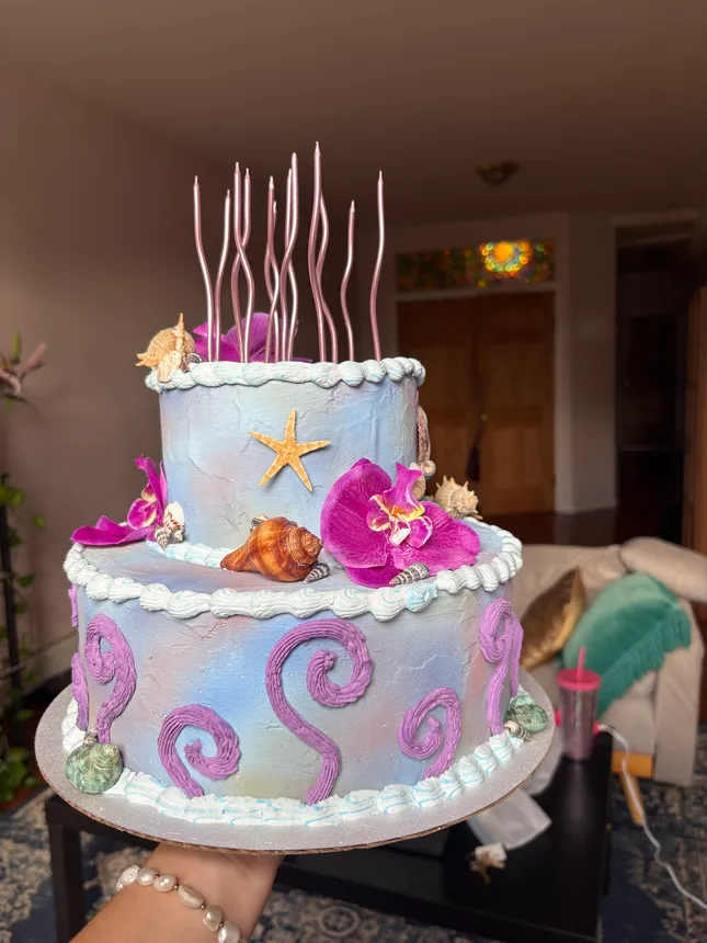 Fake Cake