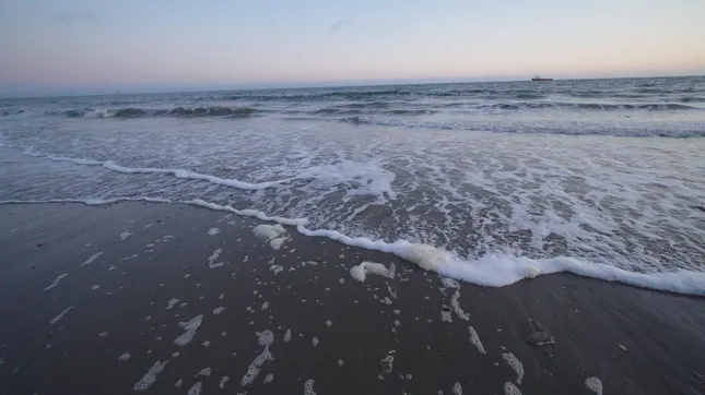 cinematography + editing for Alycia Lang ‘Summer’