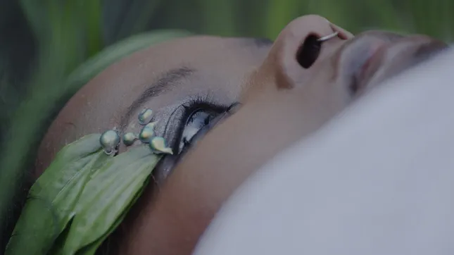 edit + color for Dhaaxda Xiiro short film