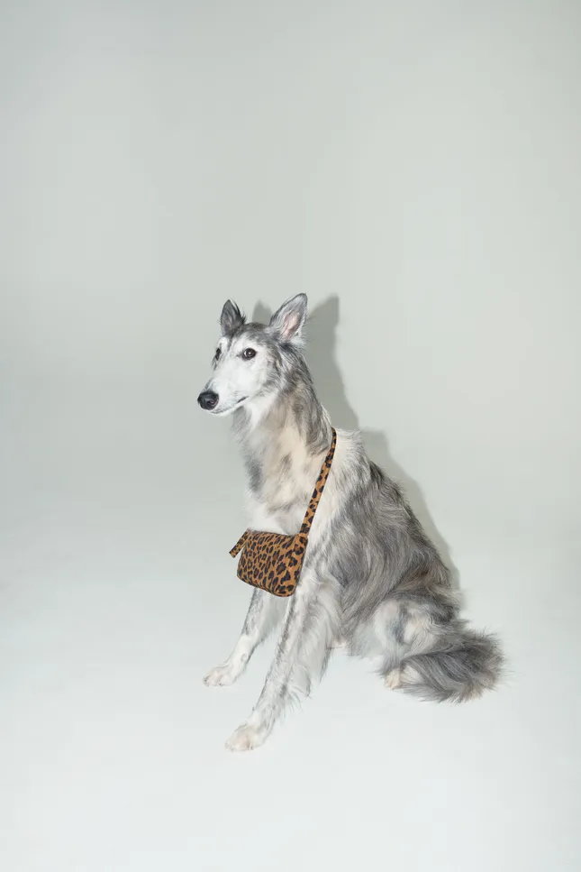 Baggu Holiday 2025