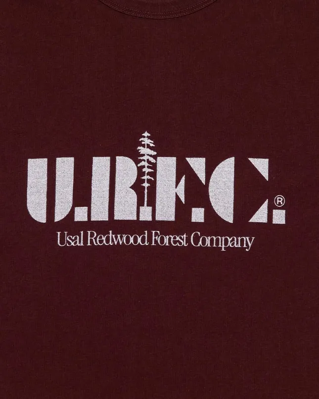 USAL Project design work