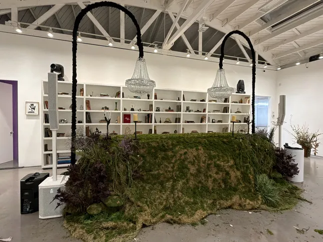 Project image
