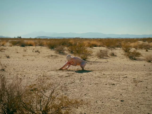 In The Desert