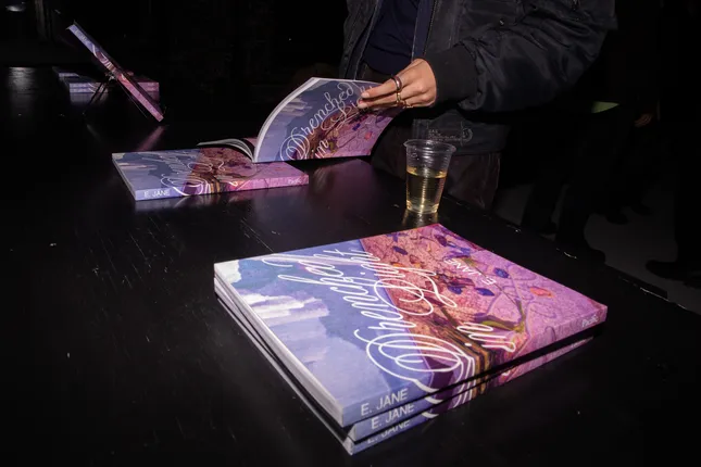 E Jane Drenched in Light - Book Launch
