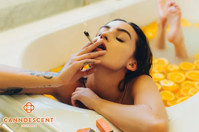 CANNDESCENT CAMPAIGN