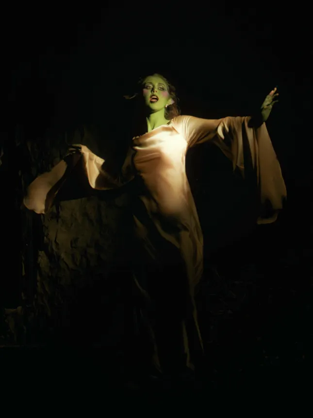 Hot Goblin by Em Beihold