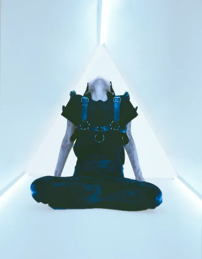 Project image