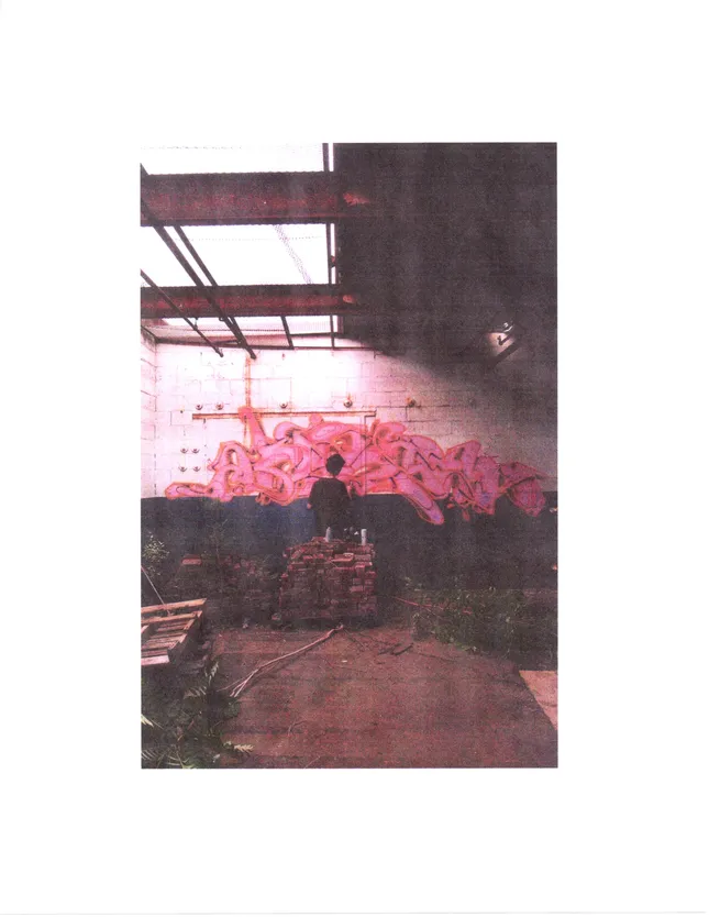 Project image