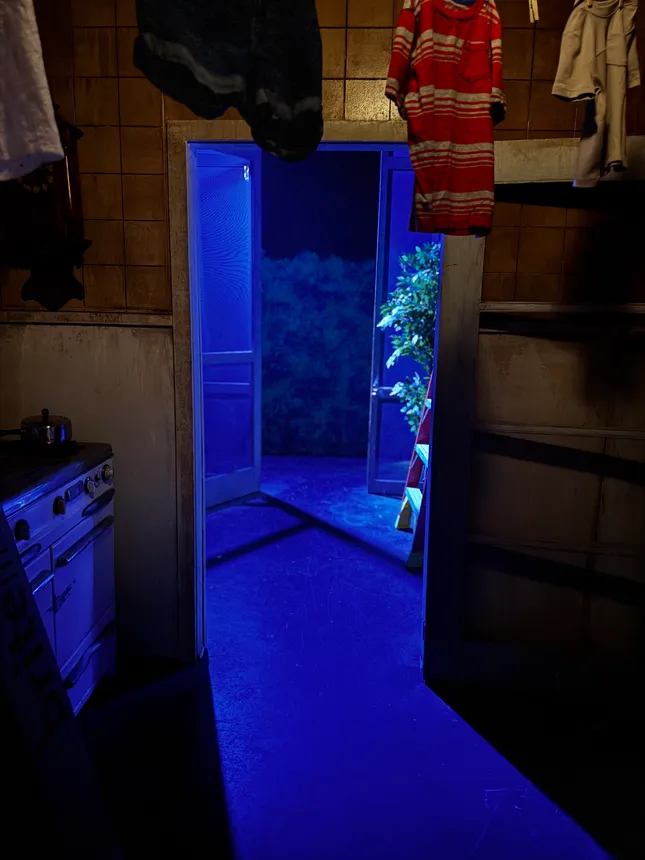 Project image