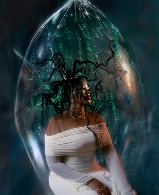 Project image