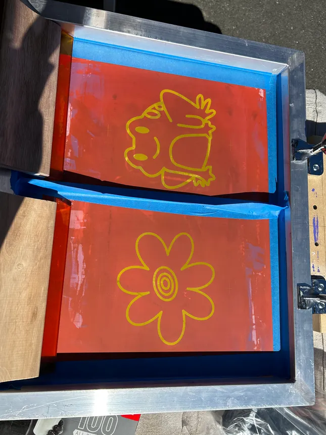 Project image