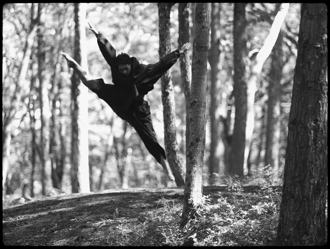 MUSTY - WOODS