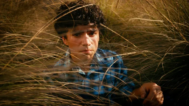 The Diviners