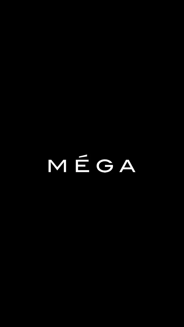 MÉGA Jewelry Stylist’s Favorites