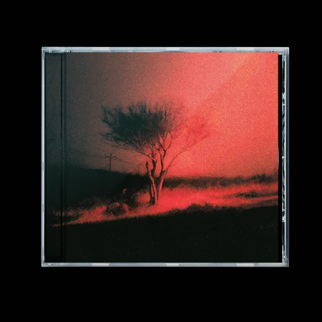Joji ‘Piss In the Wind’ CD Design (2025)