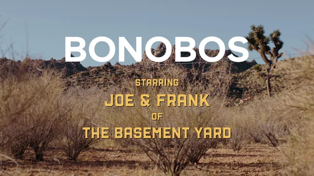 Bonobos Summer Linen ft Basement Yard
