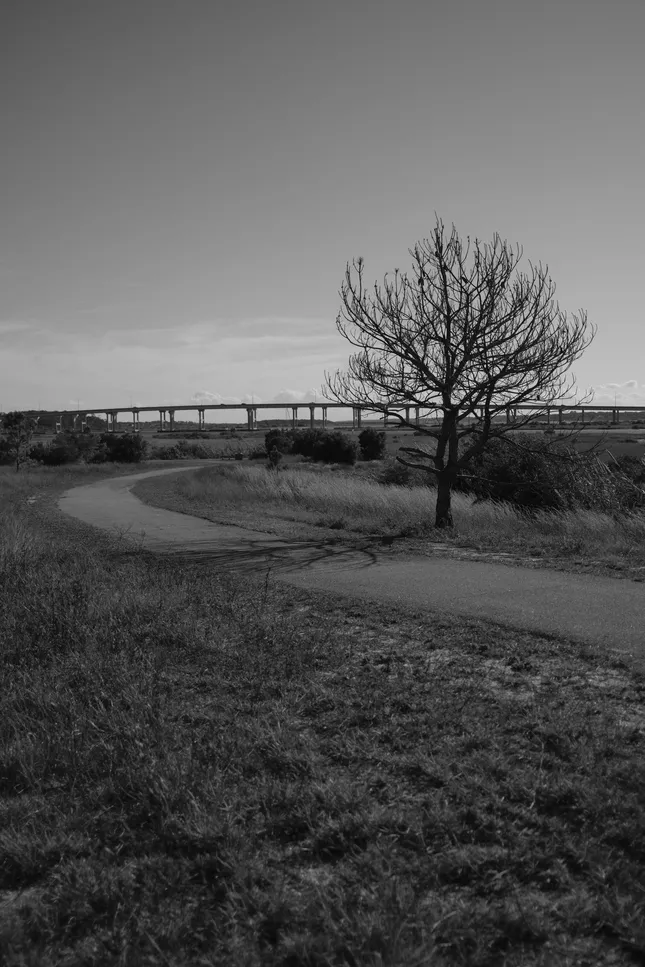 Freedom park
