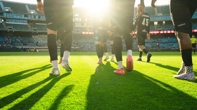 Oakland Roots Visual - Instagram Reel