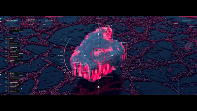 Project image
