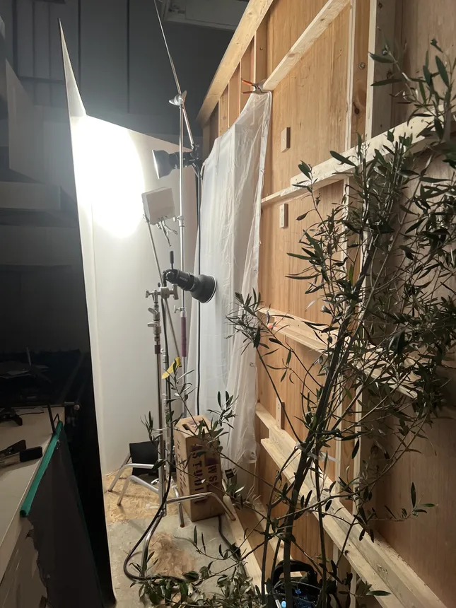 Project image