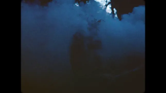 Cameo Adele - "Sensations" Music Video