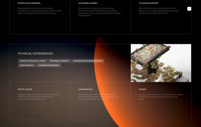 Project image