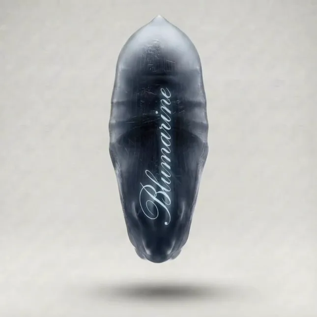 AI concept for Blumarine