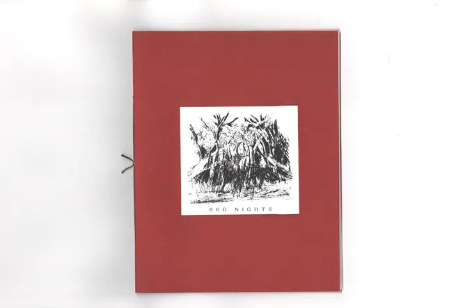 “Red Nights” Sydney Acosta Zine