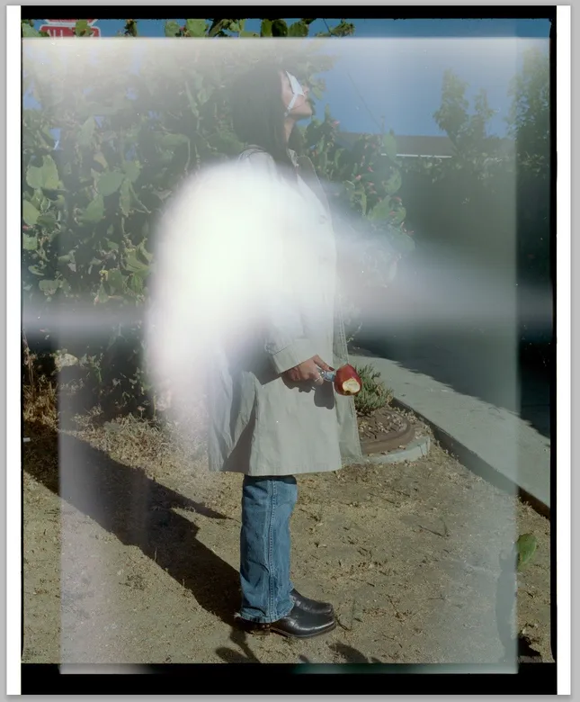 Angel Wings