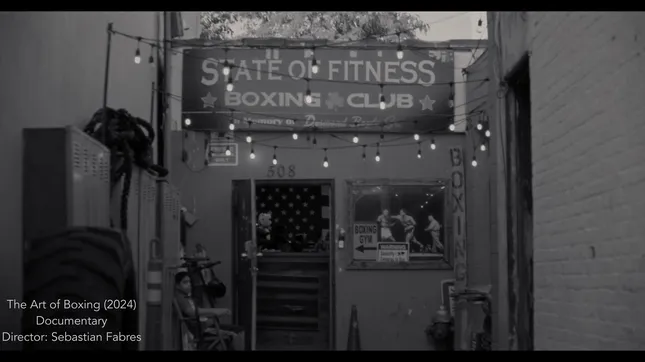 Reel-Art Of Boxing