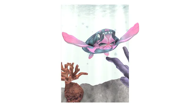 DISAPPOINTED WILDLIFE _Kemp’s Ridley Sea Turtle