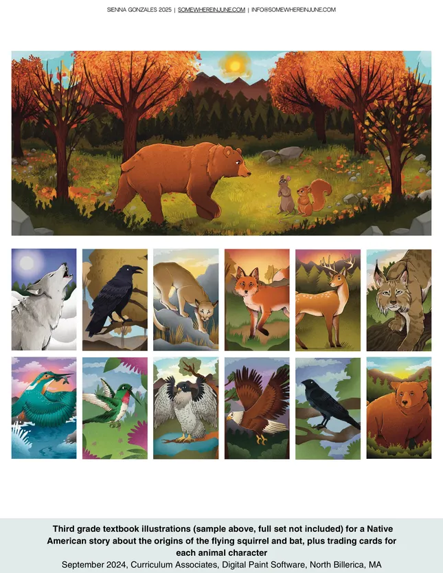 Textbook Illustrations