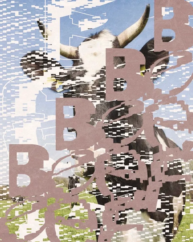 Beef experimental type poster and motion