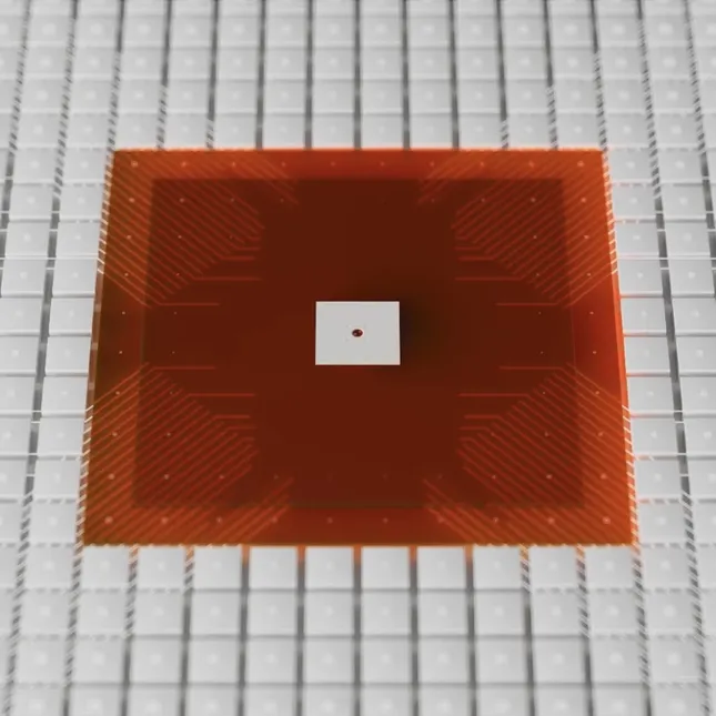 Project image