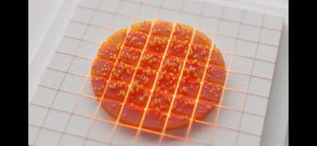 Project image