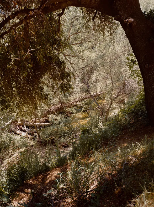 Project image