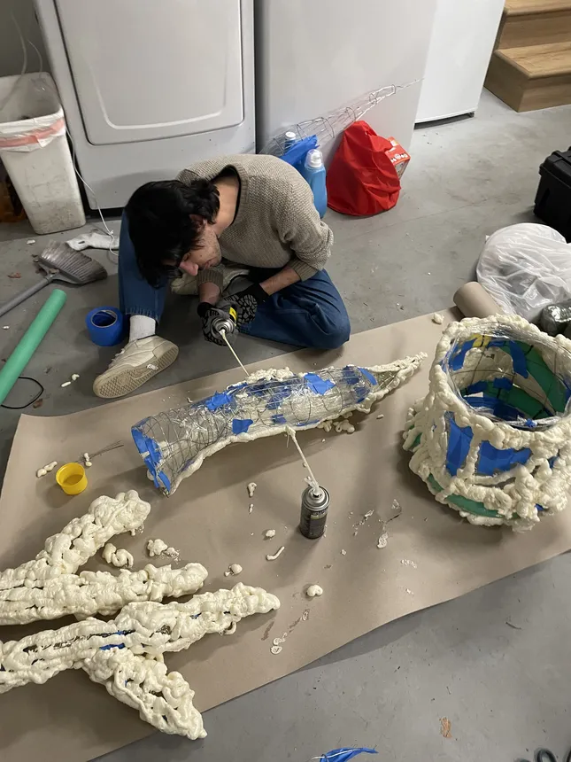 Project image