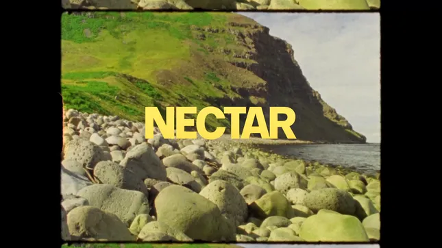 NECTAR