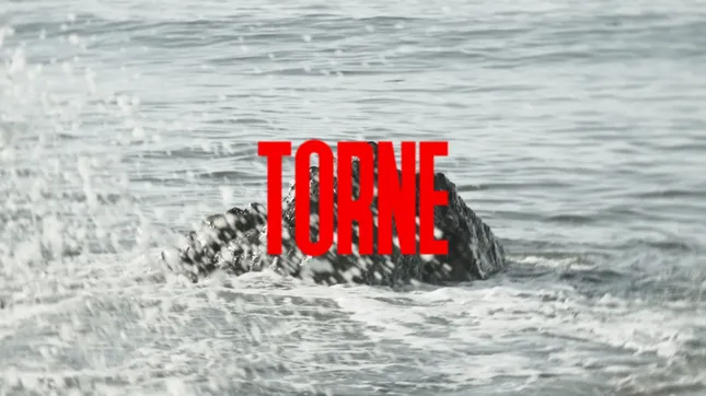 Torne - Hunter, Hunter (Teaser)