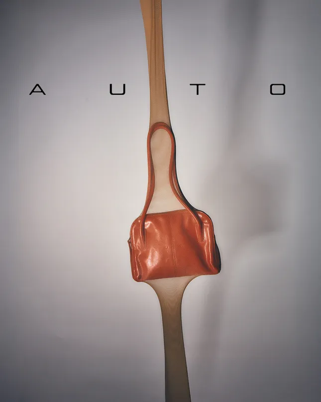 Auto Campaign
